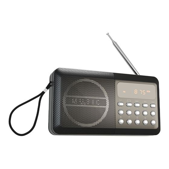 Радиоприемник Soudmax SM-RD2116 черный