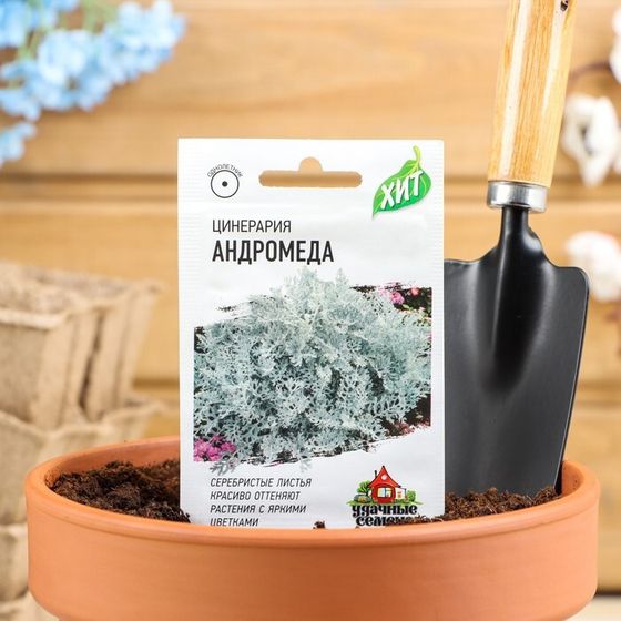 Семена цветов Цинерария приморская &quot;Андромеда&quot;, ц/п,  О, 0,05 г  серия ХИТ х3