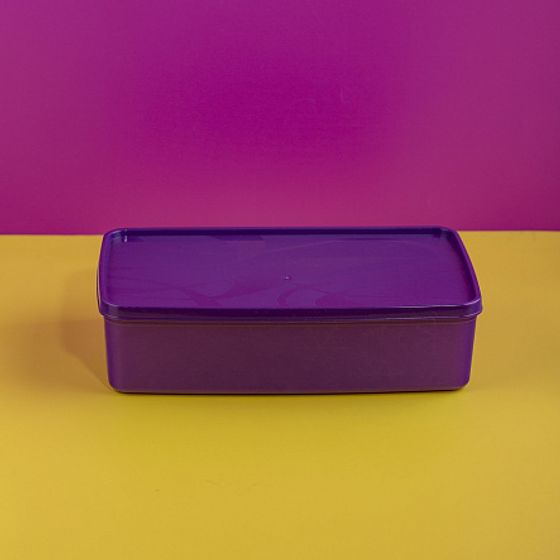 Контейнер для заморозки ALASKA 2.1л фиолетовый