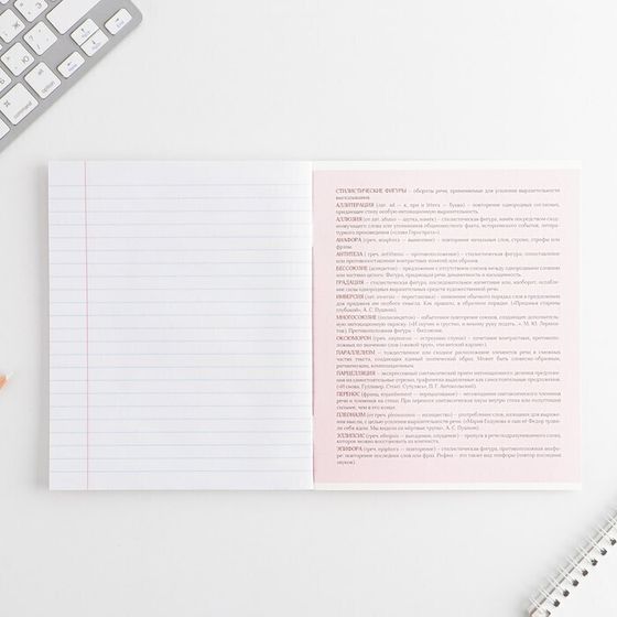 !09 Набор 5 штук: Тетрадь предметная 48 листов, А5, РОЗОВАЯ СЕРИЯ, со справ. мат. « Литература», обложка мелованный картон 230 гр., внутренний блок в линейку 80 гр., белизна 96%