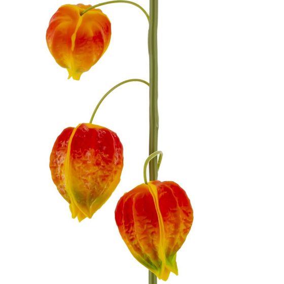 Цветок искусственный "Физалис" (Real Touch), L15 W12 H69 см