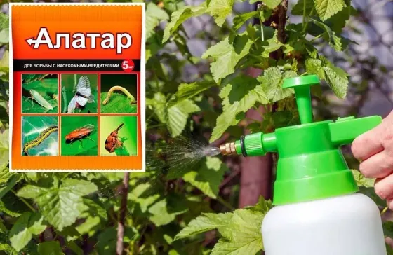 !09 Алатар для защиты растений от вредителей 5 мл. От колорадского жука, гусениц, тли, трипсов, долгоносика, пилильщика, луковых мушек, моли
