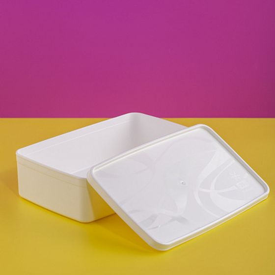 Контейнер для заморозки ALASKA 2.1л белый