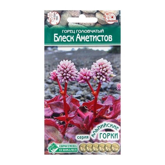Семена цветов Горец головчатый &quot;Блеск Аметистов&quot;, 0,1 г