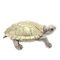Фигурка декоративная &quot;Черепаха&quot;, L13,5 W11,5 H5 см