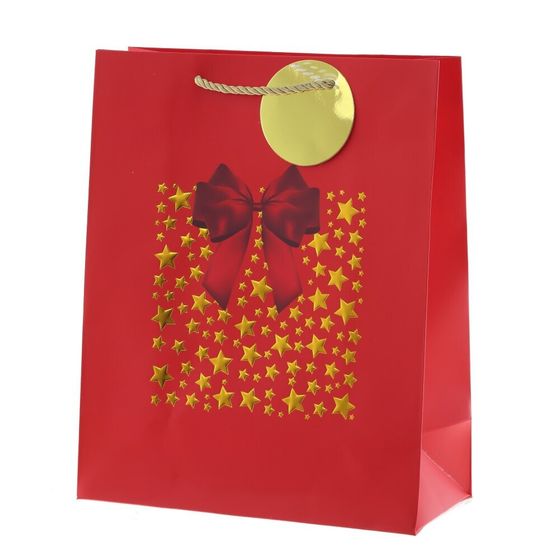 Пакет подарочный (бумага 210г/м2, блок 12шт), L26 W12 H32 см, 4в.