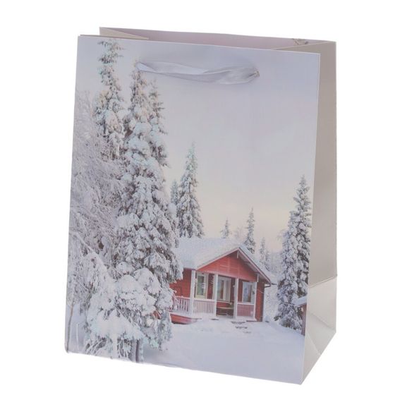 Пакет подарочный (бумага, плотность 210г/м2, блок микс 12шт), L18 W10 H23 см, 4в.