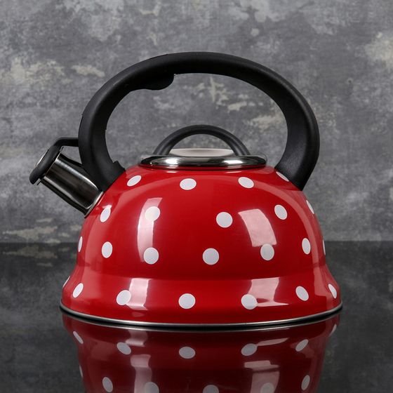 Чайник со свистком из нержавеющей стали Доляна «Горошек», 2,8 л, цвет красный