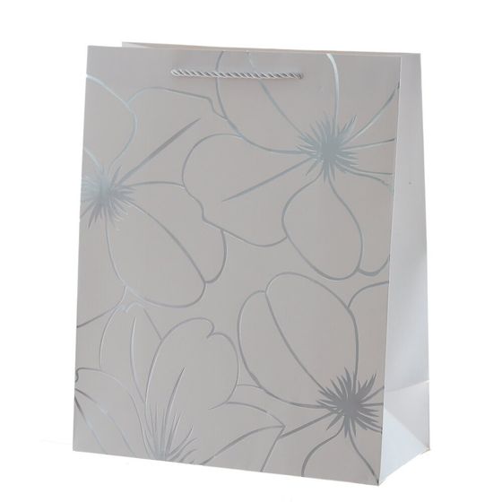 Пакет подарочный (бумага 210г/м2, блок 12шт), L26 W12 H32 см, 5в.