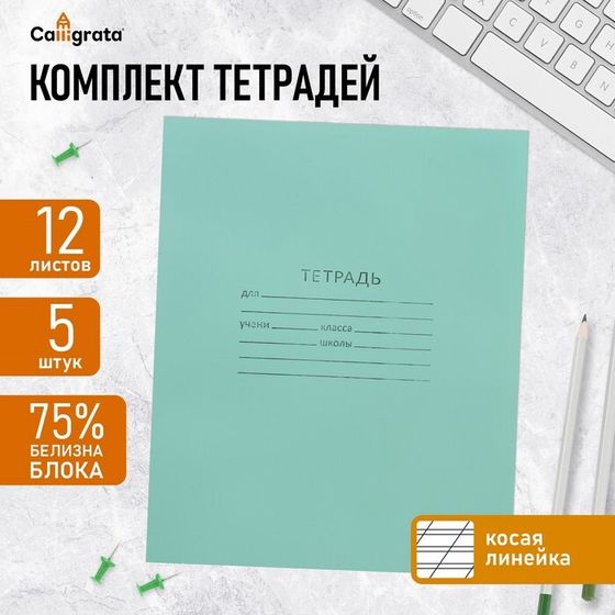 Комплект тетрадей из 5 штук, 12 листов в косую линию КПК &quot;Зелёная обложка&quot;, блок №2, белизна 75% (серые листы)