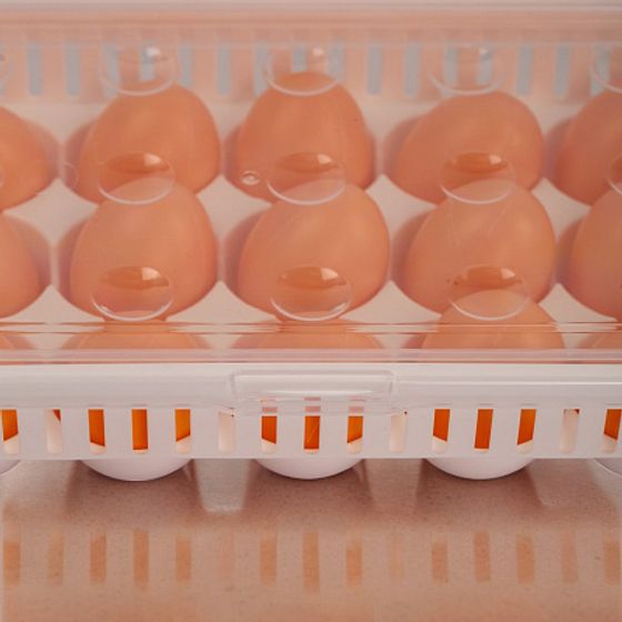 Контейнер для хранения яиц 15 секций