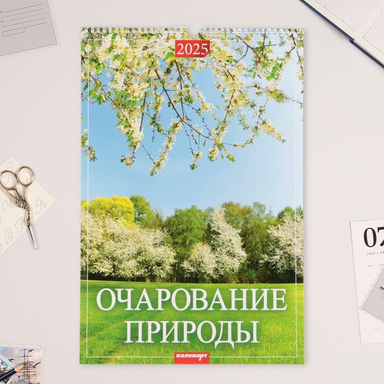 Календарь перекидной на ригеле А3 &quot;Очарование природы&quot; 2025, 32 х 48 см