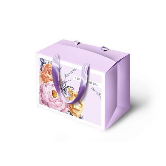 !09 Пакет—коробка (набор 2 штуки) &quot;Прекрасного дня&quot;, 23 х 16 х 11 см.