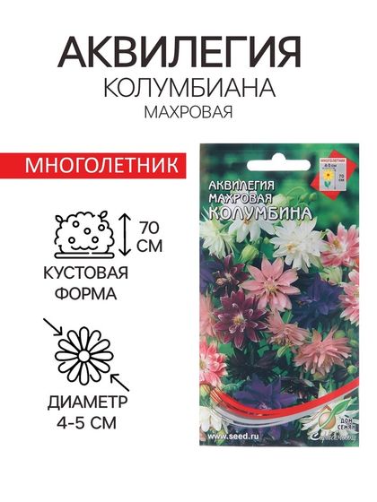 Семена цветов Аквилегия махровая &quot;Колумбина&quot;, 35 шт