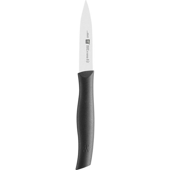 Zwilling 387200900