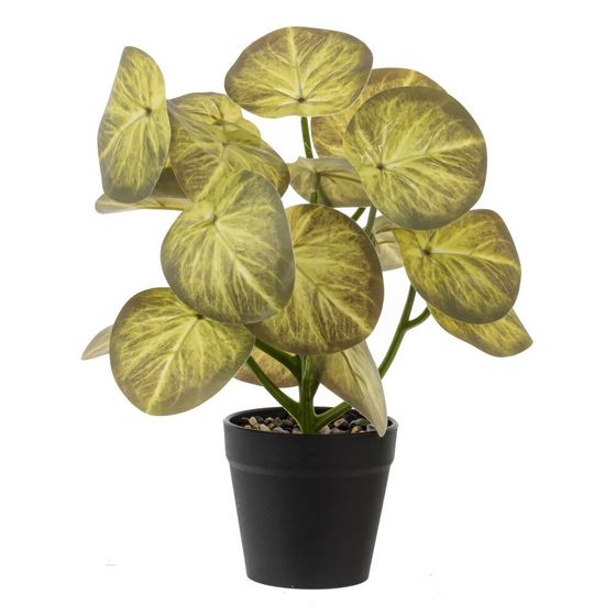 Цветочная композиция, L25 W25 H30 см, 5в.