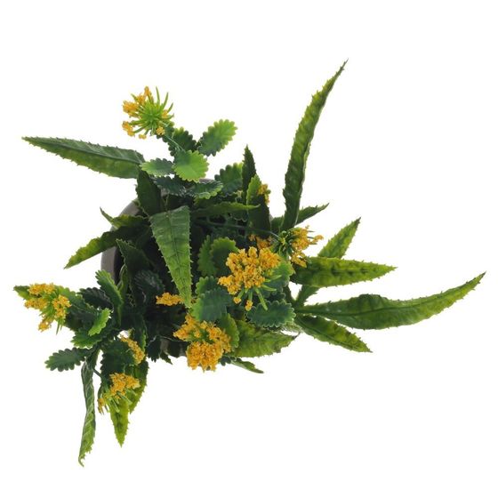 Цветочная композиция, L10 W10 H20 см, 3в.