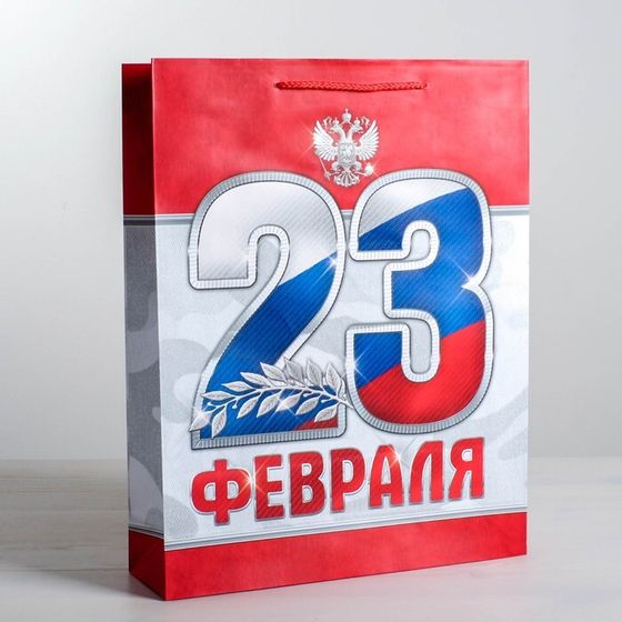 Пакет ламинированный вертикальный «23 февраля!», MS 18 × 23 × 10 см