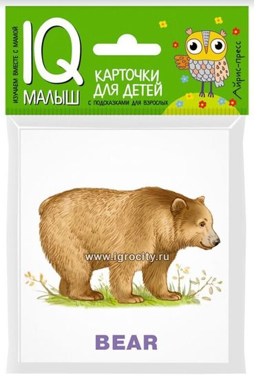 !09 Карточки (набор 2 комплекта) умный малыш English "Зоопарк", размер карточки 8х9 см, Комплект - 16 карточек