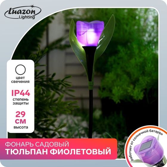 Садовый светильник на солнечной батарее «Тюльпан фиолетовый», 4.5×29×4.5 см, 1 LED, свечение белое
