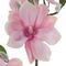 Цветок искусственный &quot;Магнолия&quot;, L28 W17 H82 см