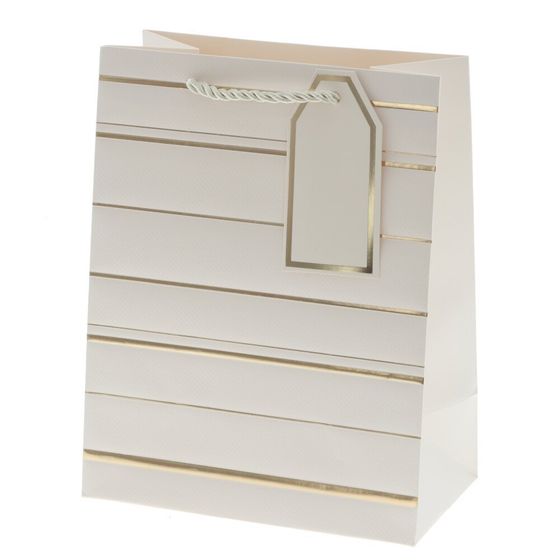 Пакет подарочный (бумага 210г/м2, блок 12шт), L18 W10 H23 см, 10в.