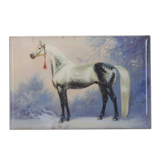 Магнит, L7 W0,5 H5 см, 4в.