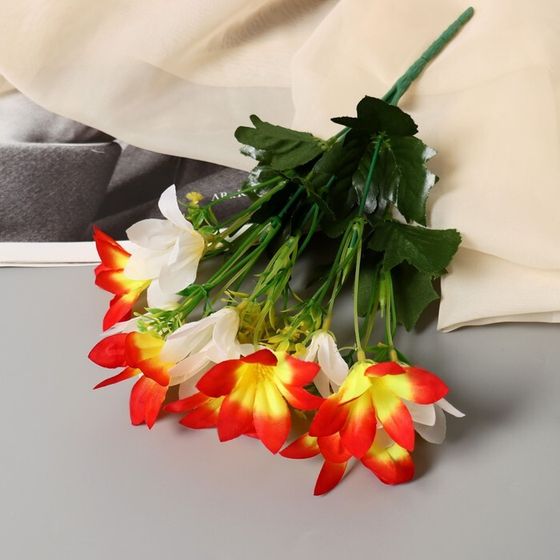 Букет «Светолистник», 4×27 см, МИКС