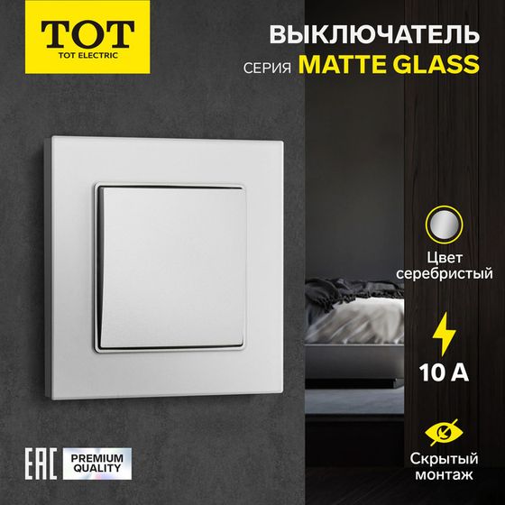 Выключатель TOT Matte Glass, 10 А, 1 кл., скрытый, стекло, серебристый