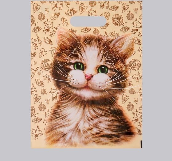 !09 Комплект из 15 штук:Пакет &quot;Кузя&quot;, полиэтиленовый с вырубной ручкой, 60 мкм , 31 х 40 см.