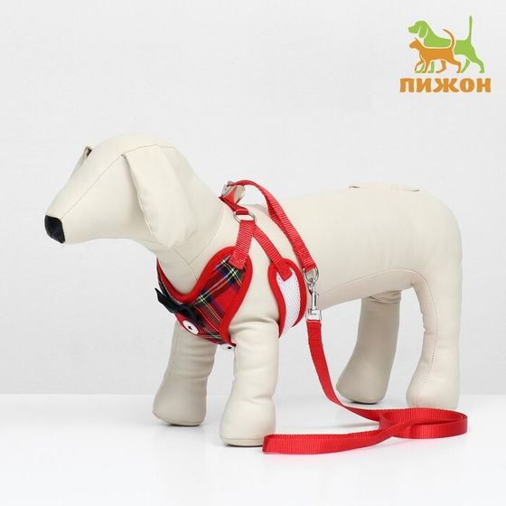 Комплект с мягкой шлейкой и бантиком &quot;Клетка&quot;, размер M, поводок 120 x 1,5 см, ОГ 28-46 см