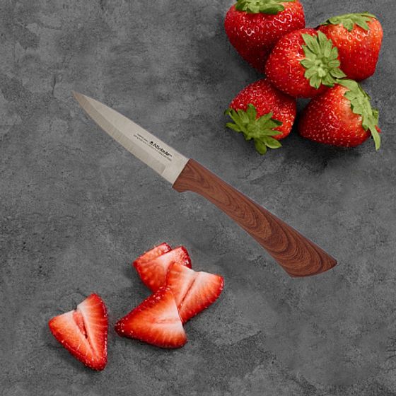 Нож для фруктов FOREST 9см