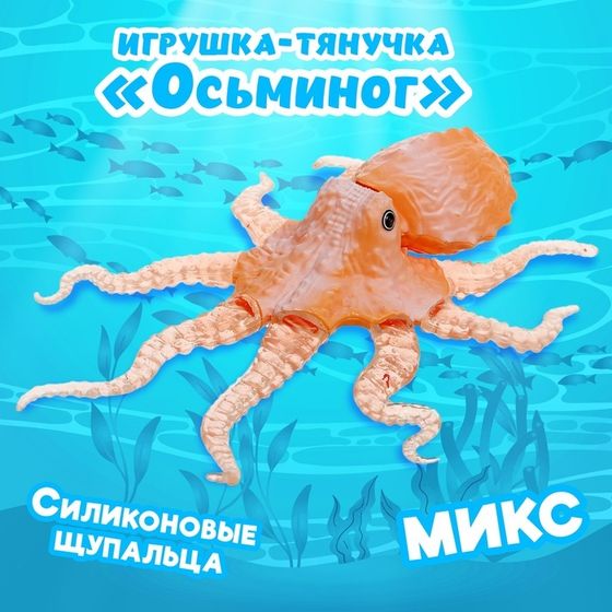 Игрушка-тянучка «Осьминог», с силиконовыми щупальцами, МИКС