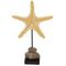 Фигурка декоративная &quot;Морская звезда&quot;, Д24 Ш24 В37 см
