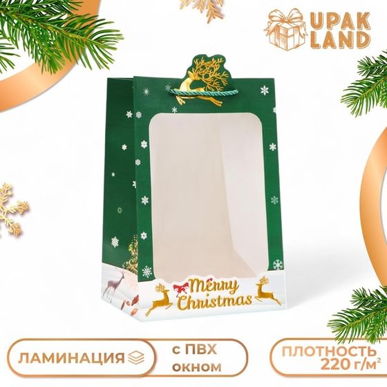 Пакет подарочный с окном &quot;Новый год&quot;, тиснение, 30 х 20 х 16 см.