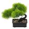Дерево искусственное &quot;Бонсай&quot;, L18 W13 H18 см