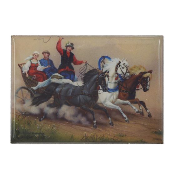 Магнит, L7 W0,5 H5 см, 4в.