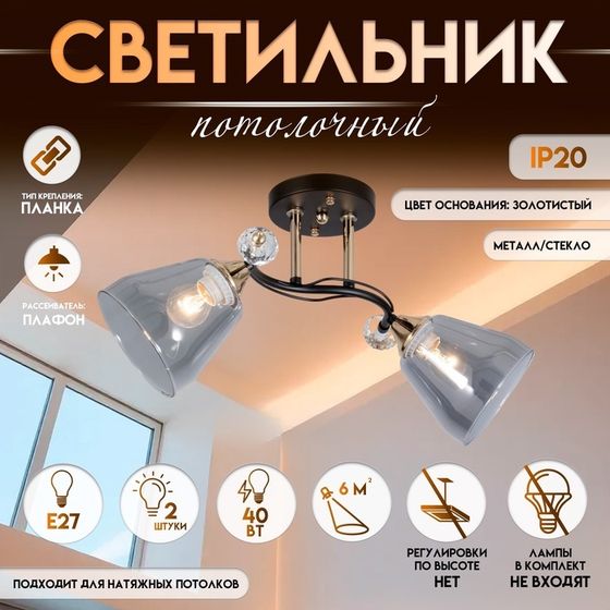 Светильник потолочный BayerLux «Клео», люстра 2×Е27, 40 Вт, чёрный, 50×22×24 см