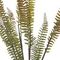 Ветка искусственная "Папоротник", L11 W11 H58 см