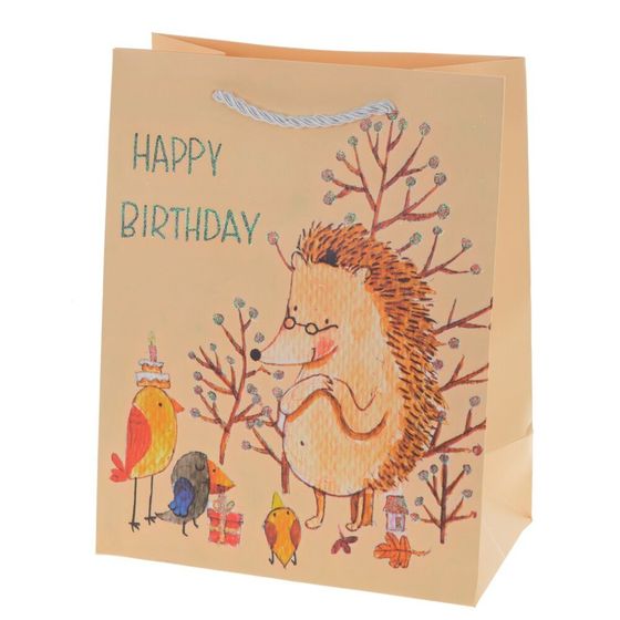 Пакет подарочный (бумага 210г/м2, блок 12шт), L18 W10 H23 см, 4в.