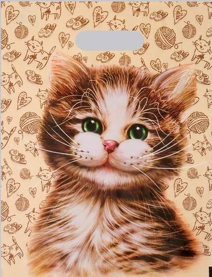 !09 Комплект из 15 штук:Пакет &quot;Кузя&quot;, полиэтиленовый с вырубной ручкой, 60 мкм , 31 х 40 см.