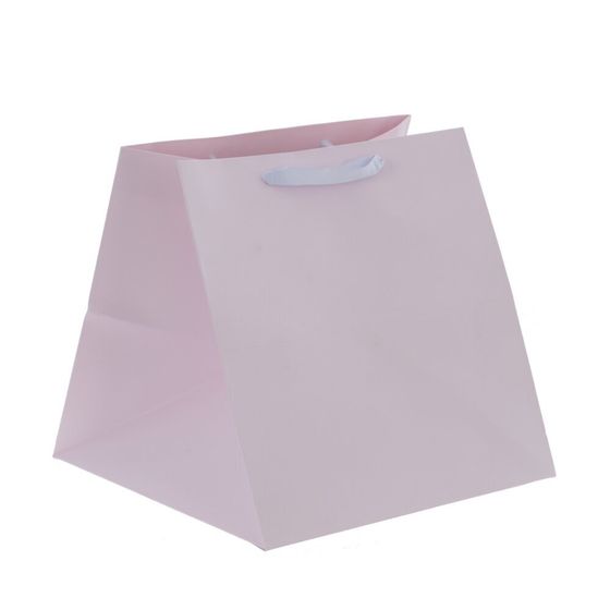 Пакет подарочный (бумага 210г/м2, блок 12шт), L26 W26 H26 см, 4в.