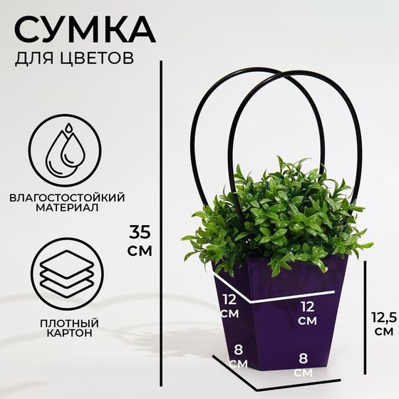 Сумка для цветов фиолетовая влагостойкая, 12 x 12-8 x 8-12.5 см