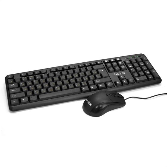 Клавиатура+мышь Exegate EX286204RUS Exegate Professional Standard Combo MK120 проводной черный