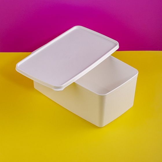 Контейнер для заморозки ALASKA 3.5л белый