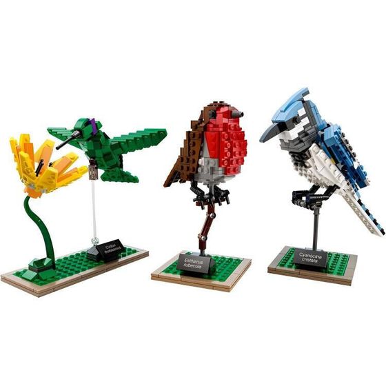 LEGO Ideas Birds Set 21301