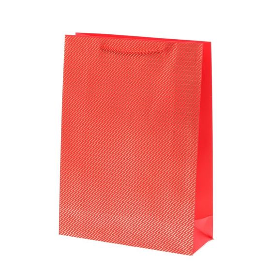 Пакет подарочный (бумага 210г/м2, блок микс12шт), L30 W11 H41 см, 4в.