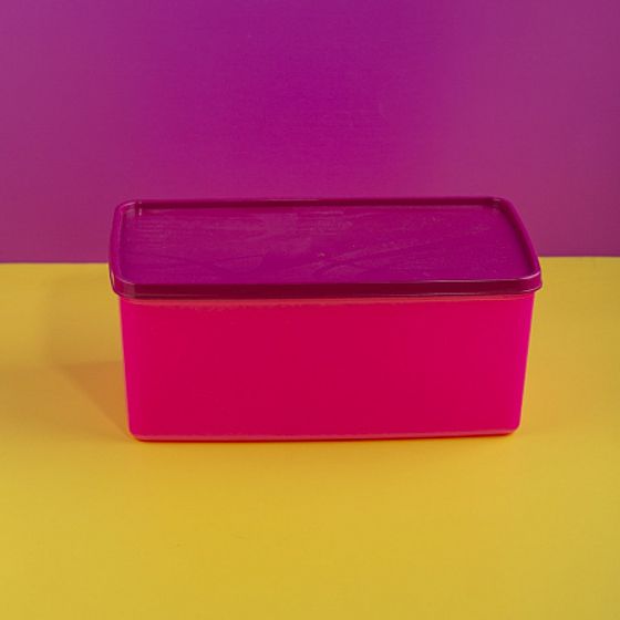 Контейнер для заморозки ALASKA 3.5л фуксия