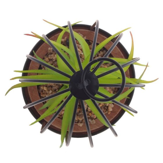 Цветочная композиция &quot;Суккулент&quot;, L12 W12 H18 см