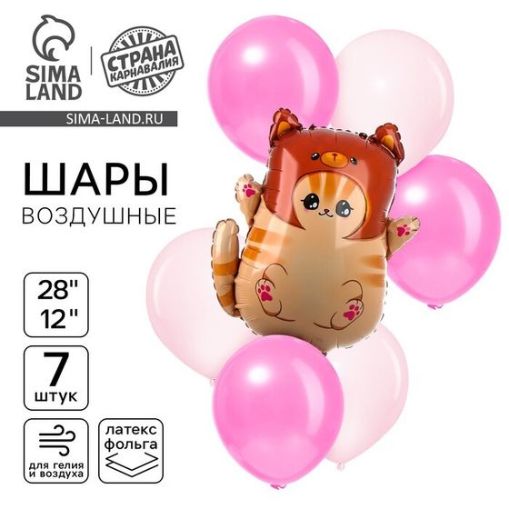 Шары воздушные, набор «Котик в шапке», фольга 1 шт., латекс 6 шт.